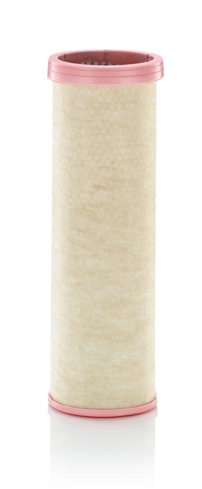 Secondary Air Filter
