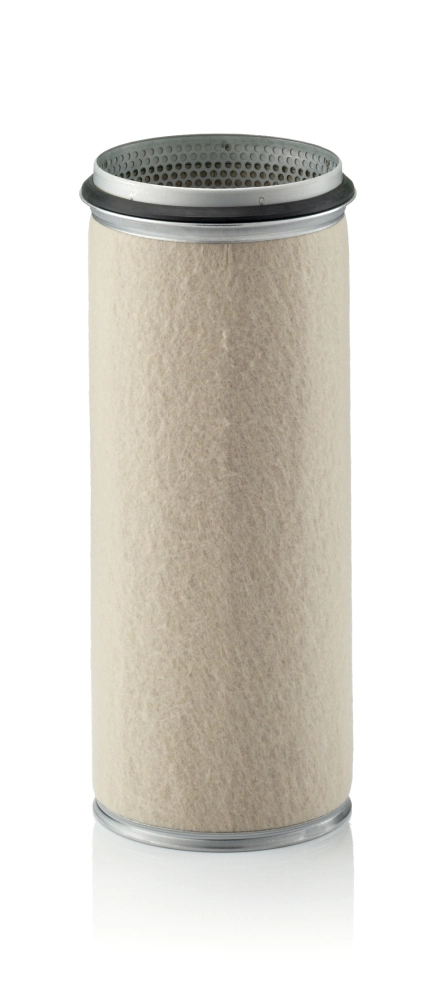 Secondary Air Filter