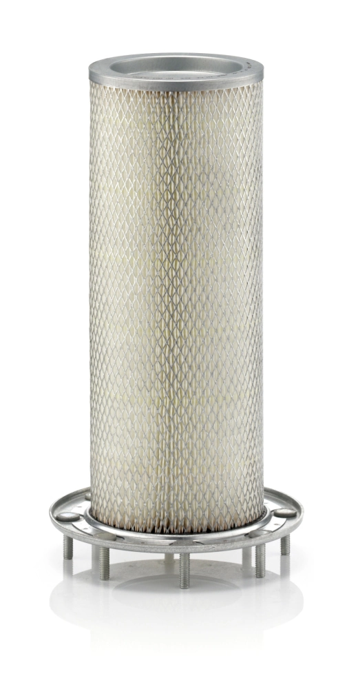 Secondary Air Filter