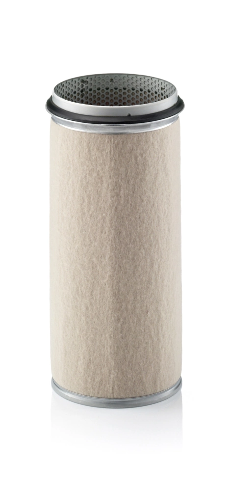 Secondary Air Filter