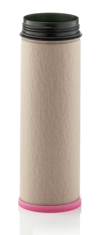 Secondary Air Filter
