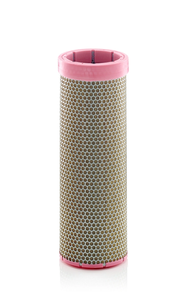 Secondary Air Filter