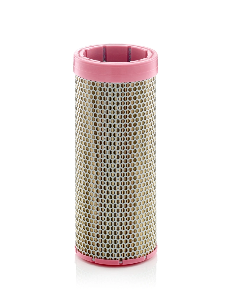 Secondary Air Filter