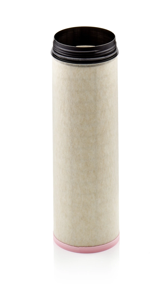 Secondary Air Filter