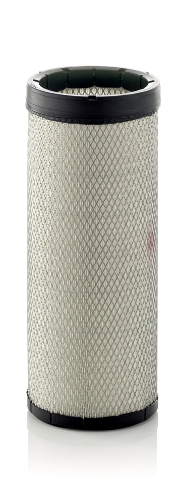Secondary Air Filter
