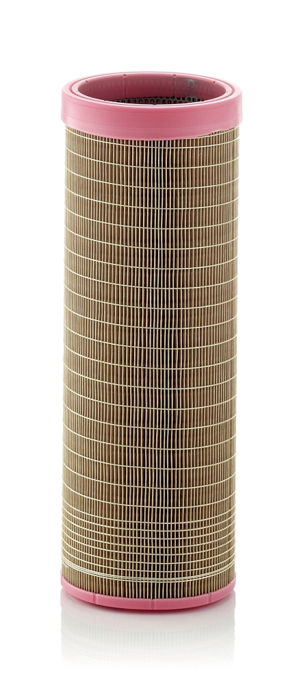 Secondary Air Filter