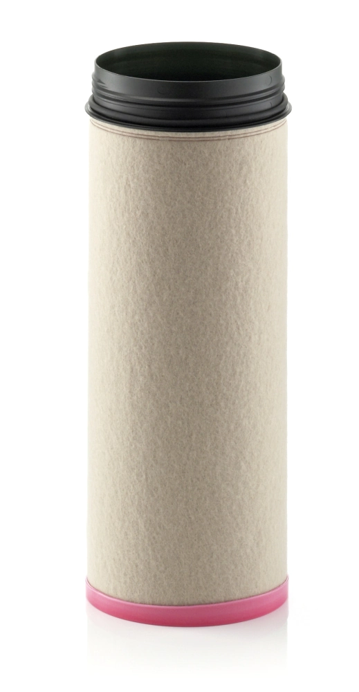 Secondary Air Filter