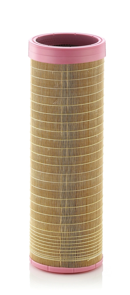 Secondary Air Filter
