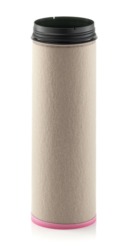 Secondary Air Filter