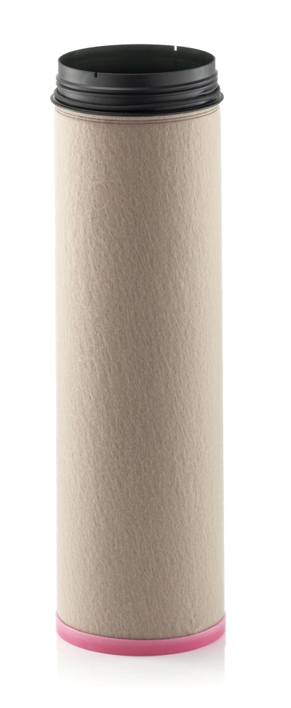 Secondary Air Filter