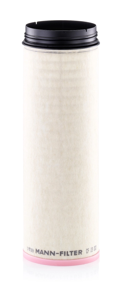 Secondary Air Filter