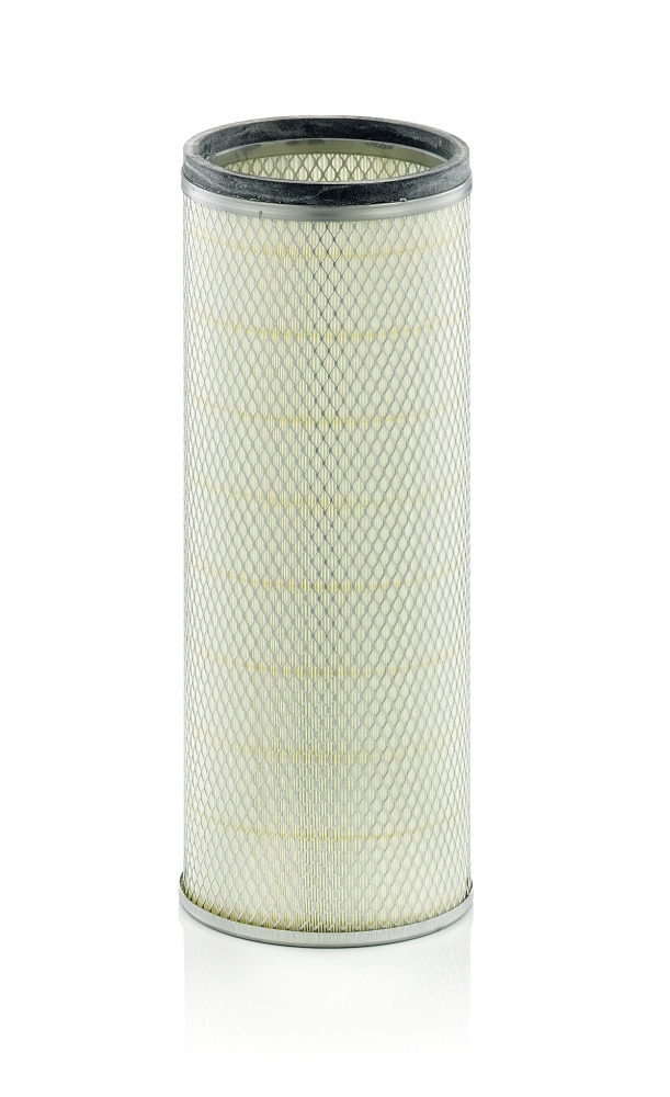 Secondary Air Filter