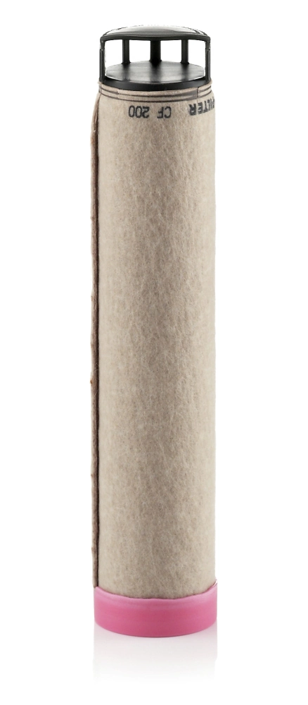 Secondary Air Filter