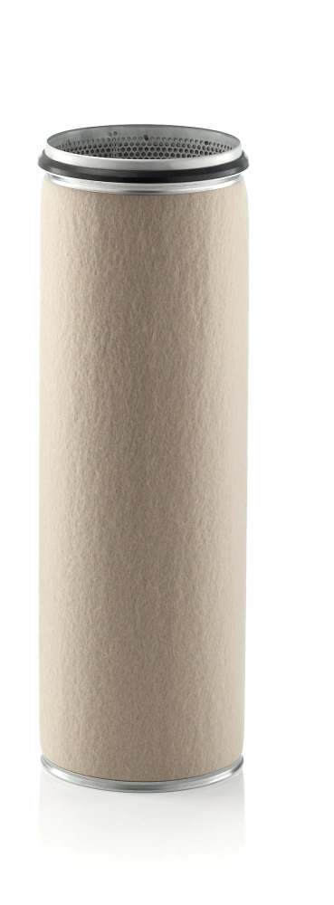Secondary Air Filter