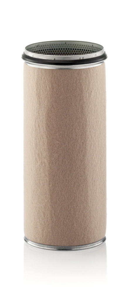 Secondary Air Filter