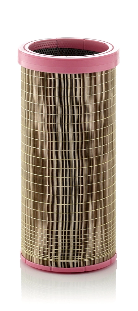 Secondary Air Filter