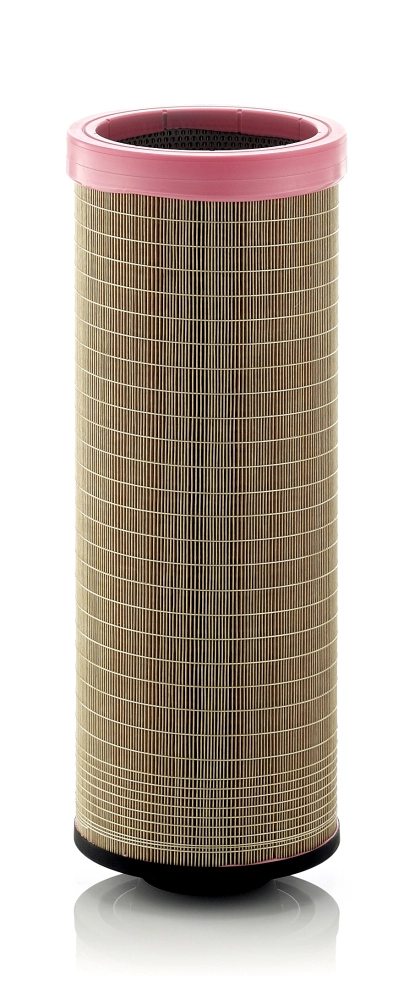 Secondary Air Filter