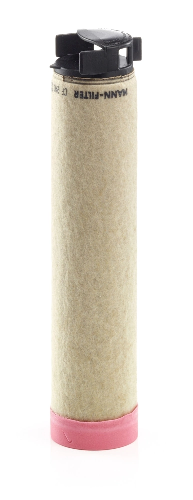 Secondary Air Filter