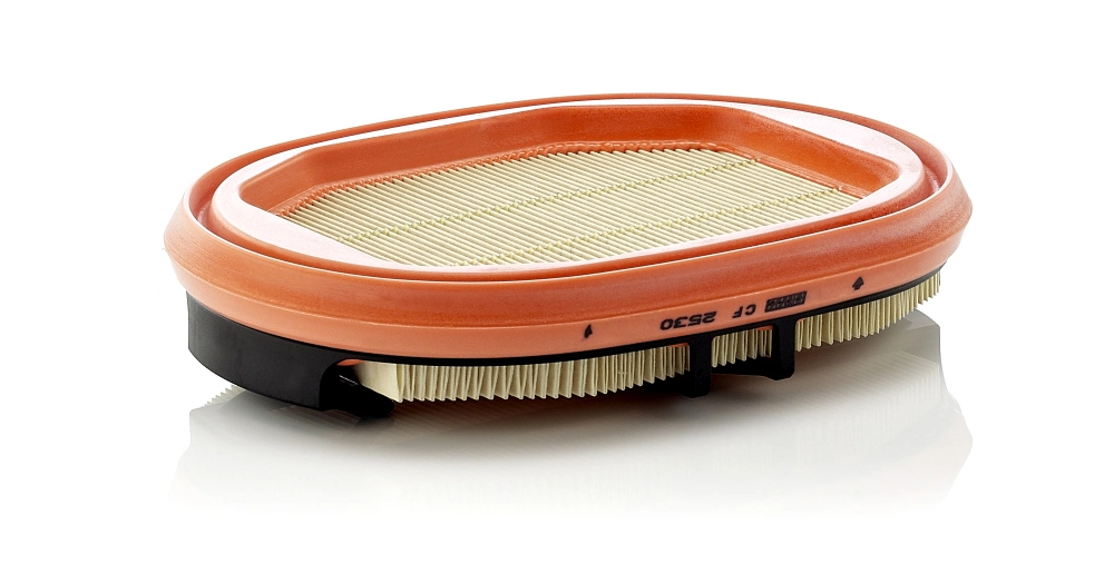 Secondary Air Filter