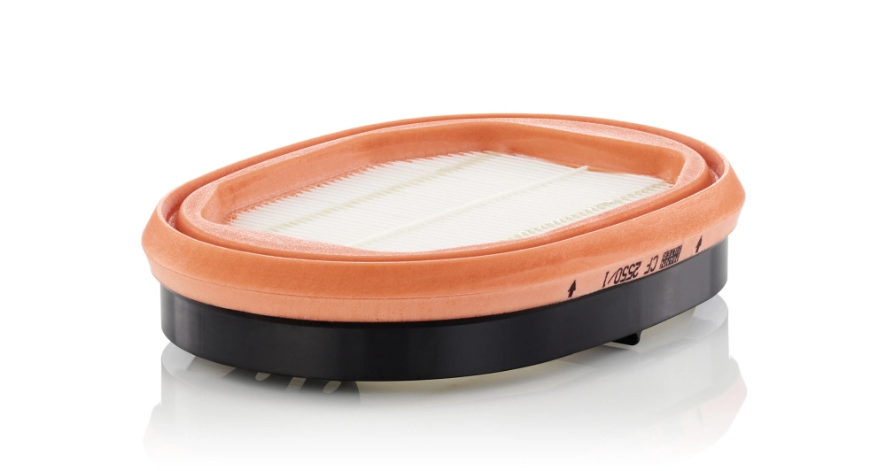 Secondary Air Filter