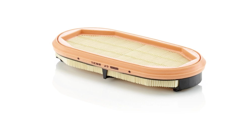 Secondary Air Filter