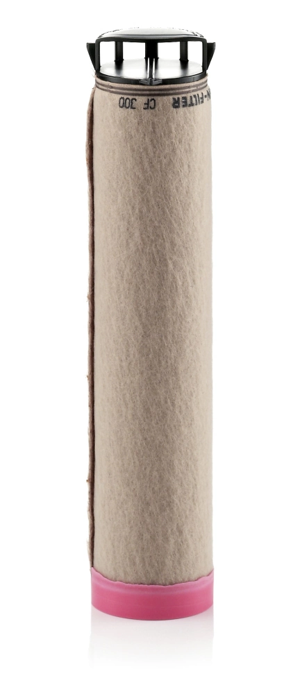 Secondary Air Filter