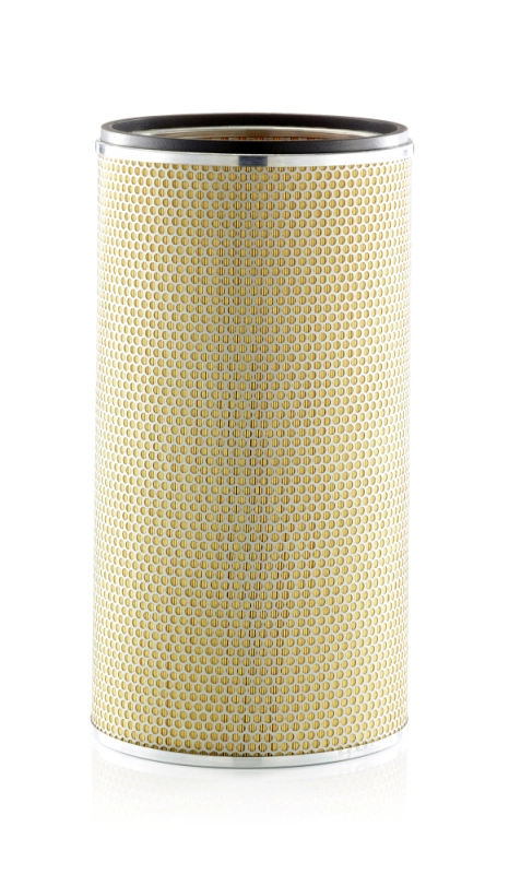 Secondary Air Filter