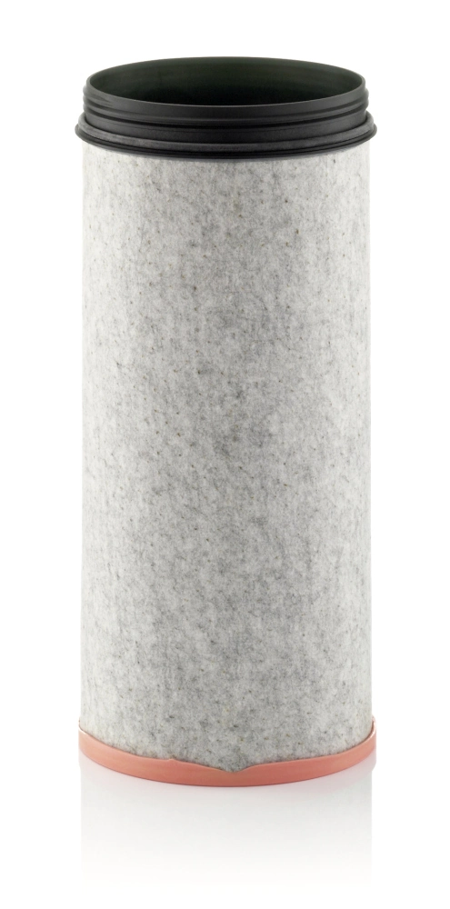 Secondary Air Filter