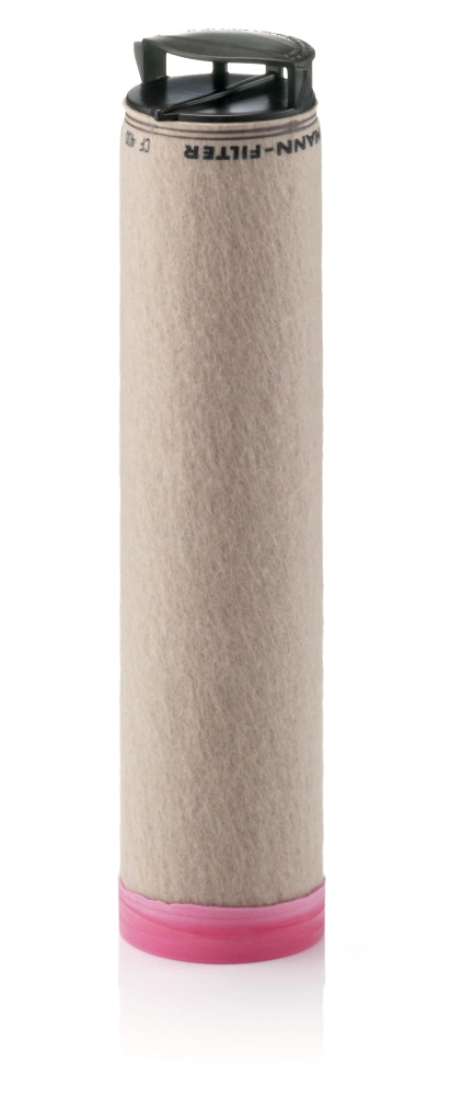 Secondary Air Filter