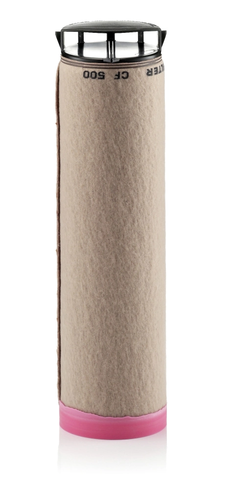 Secondary Air Filter