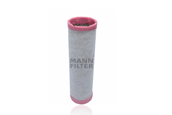 Secondary Air Filter