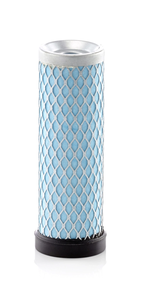 Secondary Air Filter