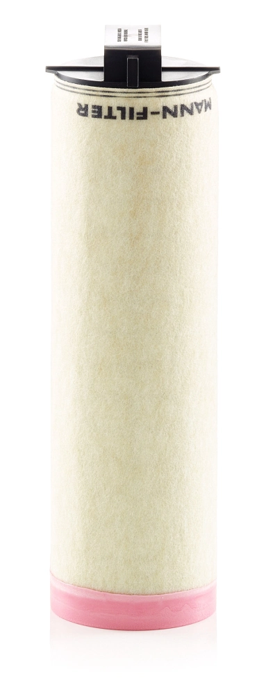 Secondary Air Filter