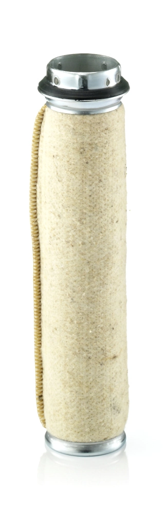 Secondary Air Filter