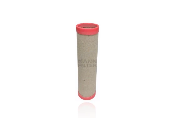 Secondary Air Filter