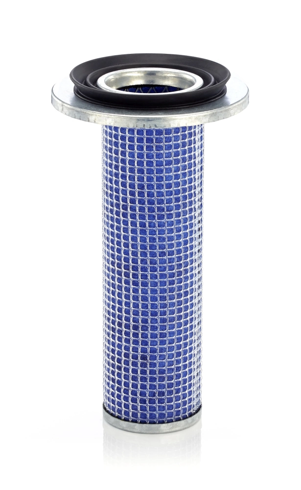 Secondary Air Filter