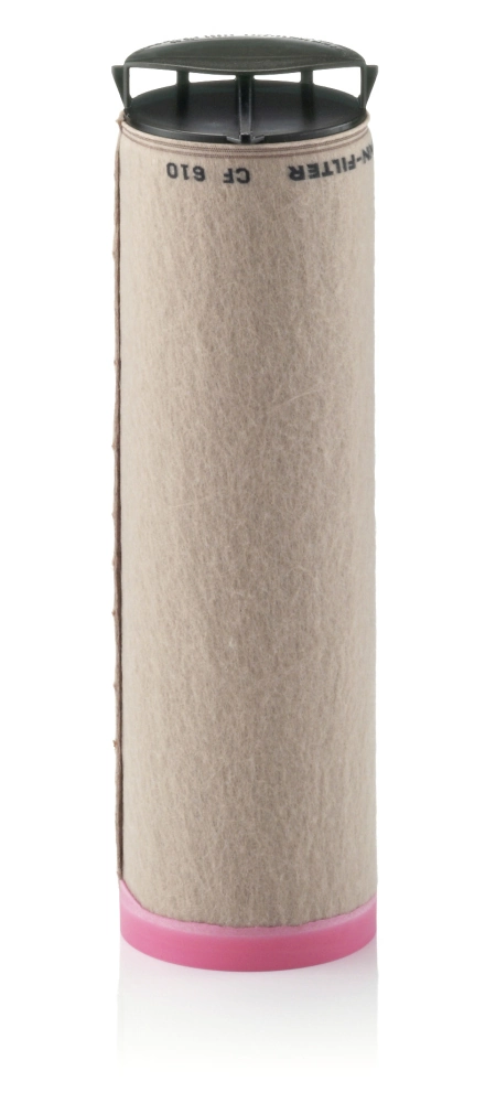 Secondary Air Filter