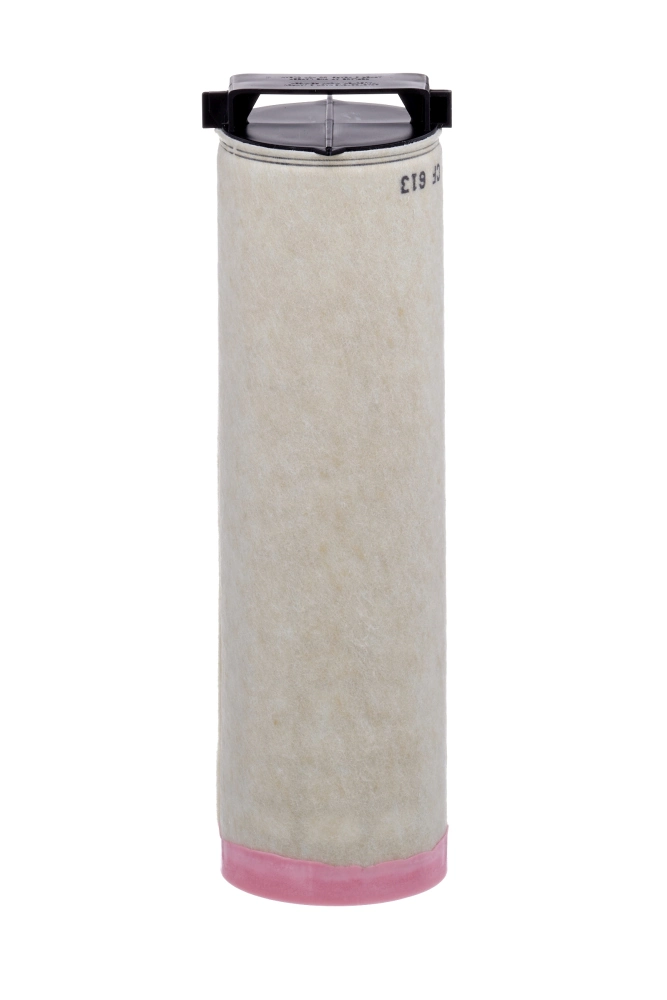Secondary Air Filter