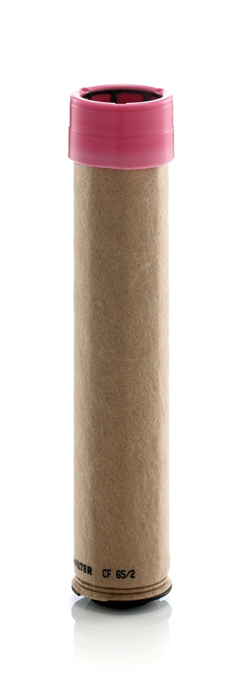 Secondary Air Filter