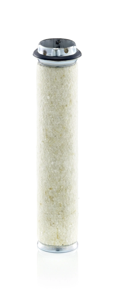 Secondary Air Filter
