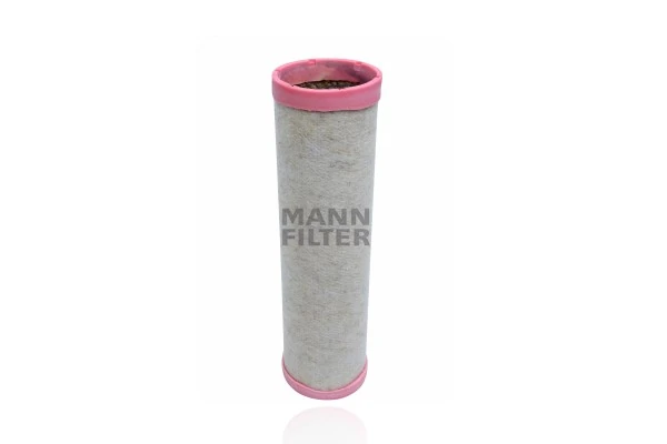 Secondary Air Filter