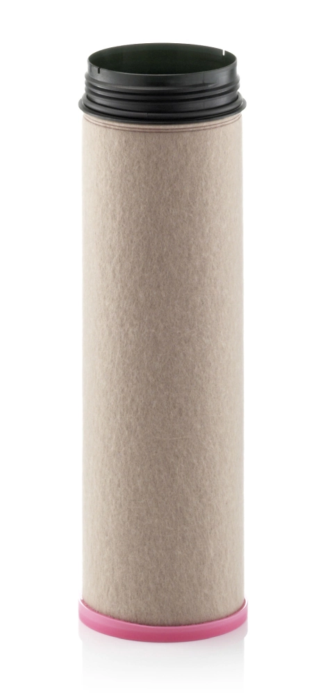 Secondary Air Filter