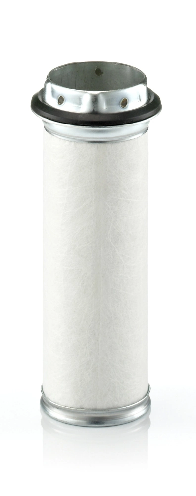 Secondary Air Filter