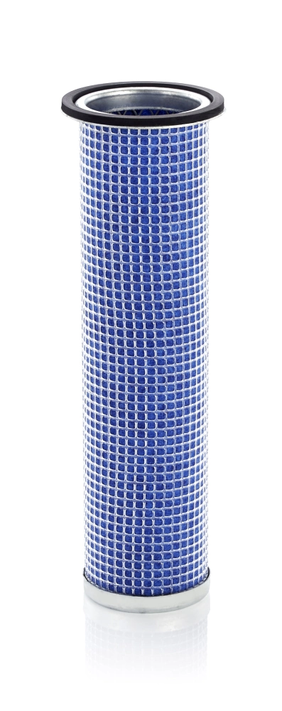 Secondary Air Filter
