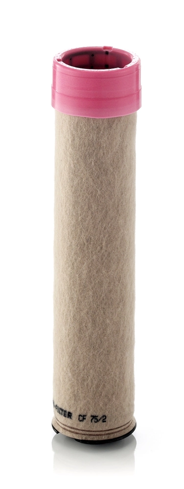 Secondary Air Filter