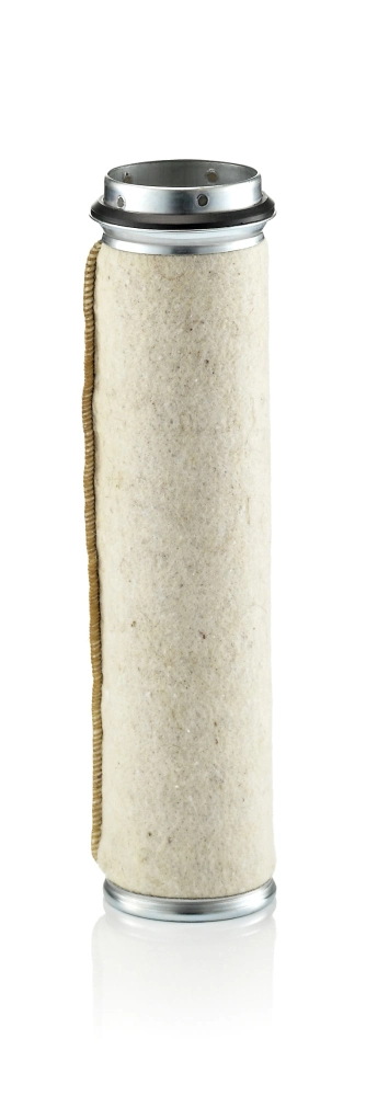 Secondary Air Filter