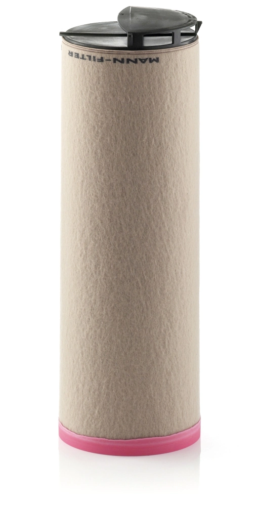 Secondary Air Filter