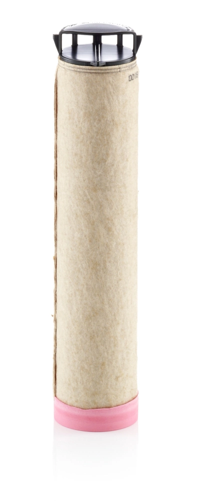 Secondary Air Filter
