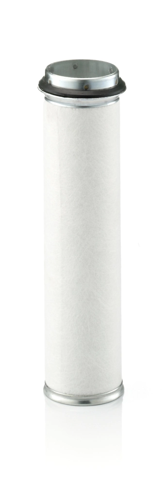 Secondary Air Filter
