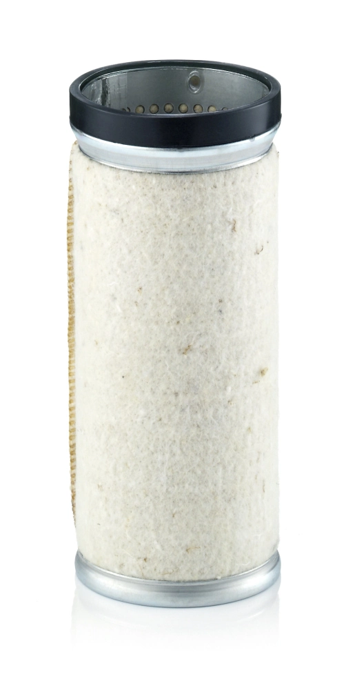 Secondary Air Filter
